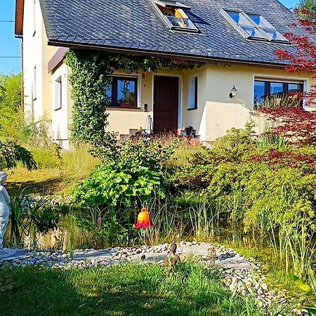 Apartment Ferienwohnung Am Waldsaum Kurort Gohrisch