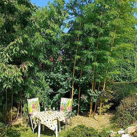 Ferienwohnung Am Waldsaum Kurort Gohrisch