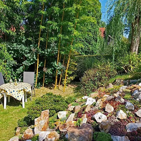 Ferienwohnung Am Waldsaum Kurort Gohrisch